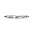 WG