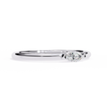 WG