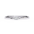 WG
