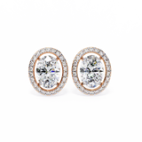 14K White Gold IGI Certified Oval Diamond Halo Earrings, D-E Color, VVS/VS Clarity