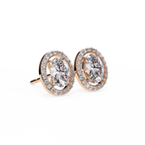 14K White Gold IGI Certified Oval Diamond Halo Earrings, D-E Color, VVS/VS Clarity