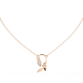 RG