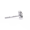 WG