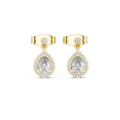 Earring 3#10004E_113_M - Yellow Gold - Image