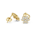 Earring 4544@7 - Yellow Gold - Image