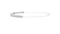 WG