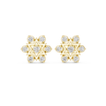 Earring 9#10014E@7 - Yellow Gold - Image