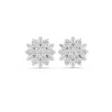 Earring AER-102@7 - White Gold - Image