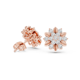 Earring AER-102@7 - Rose Gold - Image