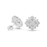 Earring AER-30@7 - White Gold - Image