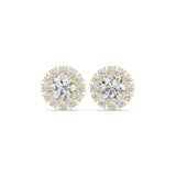 Earring AER-62@7 - Yellow Gold - Image