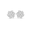 Earring AGDER-215@7 - White Gold - Image