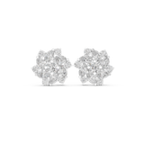 Earring AGDER-215@7 - White Gold - Image