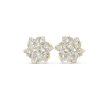 Earring AGDER-215@7 - Yellow Gold - Image