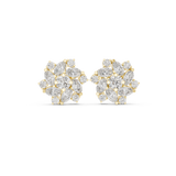 Earring AGDER-215@7 - Yellow Gold - Image