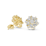 Earring AGDER-215@7 - Yellow Gold - Image