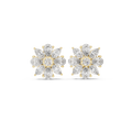Earring AGDER-216@7 - Yellow Gold - Image