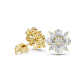 Earring AGDER-216@7 - Yellow Gold - Image
