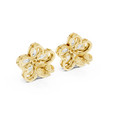 Earring AGDER-227@7 - Yellow Gold - Image