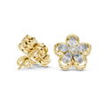 Earring AGDER-227@7 - Yellow Gold - Image