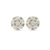 Earring AGDER-229@7 - Yellow Gold - Image