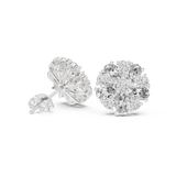 Earring AGDER-229@7 - White Gold - Image