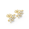 Earring AGDER-259@7 - Yellow Gold - Image