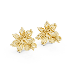 Earring AGDER-259@7 - Yellow Gold - Image