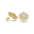 Earring AGDER-270@7 - Yellow Gold - Image