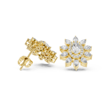 Earring AGDER-270@7 - Yellow Gold - Image