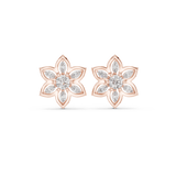 Earring AGDER-272-RPT@7 - Rose Gold - Image