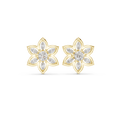 Earring AGDER-272-RPT@7 - Yellow Gold - Image