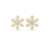 Earring AGDER-272-RPT@7 - Yellow Gold - Image