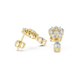 Earring AGDER-276@7 - Yellow Gold - Image