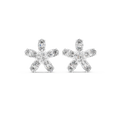 Earring AGDER-277@7 - White Gold - Image