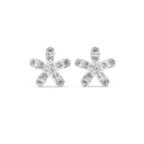 Earring AGDER-277@7 - White Gold - Image
