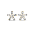Earring AGDER-277@7 - Yellow Gold - Image