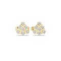 Earring AGDER-300@7 - Yellow Gold - Image