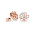 Earring AGDER-307@7 - Rose Gold - Image