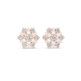 Earring AGDER-308@7 - Rose Gold - Image