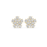 Earring AGDER-311@7 - Yellow Gold - Image