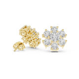 Earring AGDER-341@7 - Yellow Gold - Image