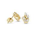 Earring AGDER-343@7 - Yellow Gold - Image