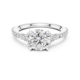 Ladies Ring DDLR-037@7 - White Gold - Image