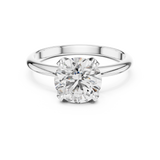 Ladies Ring DDLR-050@7 - White Gold - Image