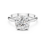 Ladies Ring DDLR-054@7 - White Gold - Image