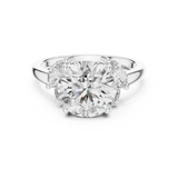 Ladies Ring DDLR-074 - White Gold - Image