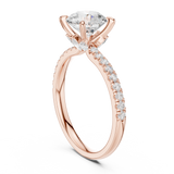 Ladies Ring DDLR-1016@7 - Rose Gold - Image