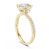 Ladies Ring DDLR-1016@7 - Yellow Gold - Image