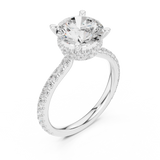 Ladies Ring DDLR-1020@7 - White Gold - Image